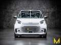 smart forTwo EQ cabrio EXCLUSIVE:1853KM+4JAHREGARANTIE Weiß - thumbnail 2