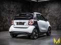 smart forTwo EQ cabrio EXCLUSIVE:1853KM+4JAHREGARANTIE Weiß - thumbnail 6
