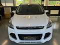 Ford Kuga 2.0 TDCi KAT 2 HAND KAM AHK BI-XENON Weiß - thumbnail 2