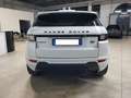 Land Rover Range Rover Evoque 5 porte 2.0 td4 HSE Dynamic 180cv automatico Bianco - thumbnail 5