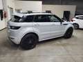 Land Rover Range Rover Evoque 5 porte 2.0 td4 HSE Dynamic 180cv automatico Bianco - thumbnail 4