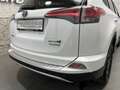 Toyota RAV 4 RAV4 2,5 Hybrid Lounge 4x4 Aut. Weiß - thumbnail 6