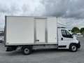 Fiat Ducato Ducato Maxi Business 3.5 L 2.3 Multijet - 140 GRAN Blanc - thumbnail 6