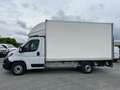 Fiat Ducato Ducato Maxi Business 3.5 L 2.3 Multijet - 140 GRAN Blanc - thumbnail 2