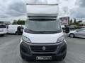 Fiat Ducato Ducato Maxi Business 3.5 L 2.3 Multijet - 140 GRAN Blanc - thumbnail 8