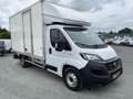 Fiat Ducato Ducato Maxi Business 3.5 L 2.3 Multijet - 140 GRAN Blanc - thumbnail 7