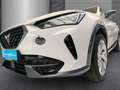 CUPRA Formentor 1.5 TSI 150 PS +REARWIEW+PDC+FULL LINK+ Weiß - thumbnail 10