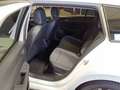 Volkswagen Golf Variant Golf VIII Variant 2.0 TDI DSG GOAL*IQ.LIGHT*AHK* Weiß - thumbnail 6