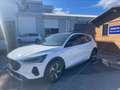 Ford Focus Active 1.5 ecoblue X 115cv auto Bianco - thumbnail 1
