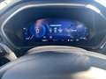 Ford Focus Active 1.5 ecoblue X 115cv auto Bianco - thumbnail 6