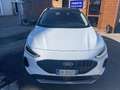 Ford Focus Active 1.5 ecoblue X 115cv auto Bianco - thumbnail 3