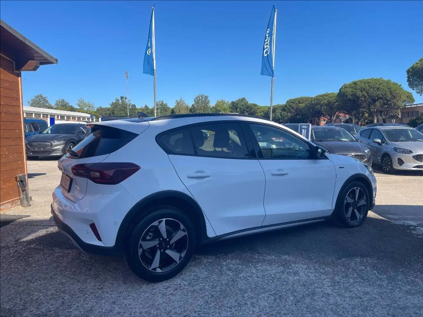 Ford Focus Active 1.5 ecoblue X 115cv auto Bianco - 2