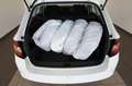 Skoda Fabia Combi Style SH,PDC,8-fach bereift! White - thumbnail 22