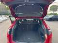 Alfa Romeo Stelvio 2.2 Turbodiesel 160 CV AT8 RWD Super Business Rosso - thumbnail 14