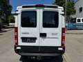 Iveco Daily 29L 14 AV/P Klima/STH/Schwingsitz/Temp/AHK Weiß - thumbnail 13