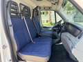 Iveco Daily 29L 14 AV/P Klima/STH/Schwingsitz/Temp/AHK Weiß - thumbnail 4