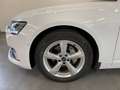 Audi A6 Avant 40 TDI quattro sport AHK StHz KAMERA White - thumbnail 9
