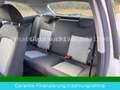 SEAT Ibiza SC Reference Salsa Tüv Neu/ Garantie Weiß - thumbnail 11