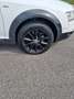 Audi A6 allroad 3.0 V6 tdi Ambiente tiptronic Blanco - thumbnail 12