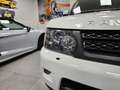 Land Rover Range Rover Sport 3.0 TDV6 HSE_BIANCO FUJI_BOLLO 2026 PAGATO_FATTURE Wit - thumbnail 2