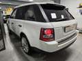 Land Rover Range Rover Sport 3.0 TDV6 HSE_BIANCO FUJI_BOLLO 2026 PAGATO_FATTURE Wit - thumbnail 7