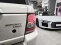 Land Rover Range Rover Sport 3.0 TDV6 HSE_BIANCO FUJI_BOLLO 2026 PAGATO_FATTURE Wit - thumbnail 6