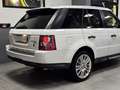 Land Rover Range Rover Sport 3.0 TDV6 HSE_BIANCO FUJI_BOLLO 2026 PAGATO_FATTURE Wit - thumbnail 5