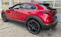 Mazda CX-30 e-Skyactive G140 Homura Rot - thumbnail 3