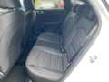 Kia ProCeed / pro_cee'd PROCEED 1.5T DCT7 GTL TEC 18Z 18'' LM-Felgen, elek Wit - thumbnail 13