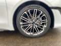 Kia ProCeed / pro_cee'd PROCEED 1.5T DCT7 GTL TEC 18Z 18'' LM-Felgen, elek Wit - thumbnail 8