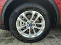 Ford Kuga Titanium PHEV NAVI AHK RFK Klimaaut Autom SHZ FSH Rot - thumbnail 3