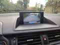 Lexus CT 200h Business Line Glazen kanteldak/Navi/Pdc Negro - thumbnail 11