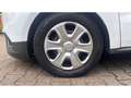 Ford Transit Courier Trend 1.5 TDCi EU6d-T Tourneo 2014.5(07 2013-) App Weiß - thumbnail 3