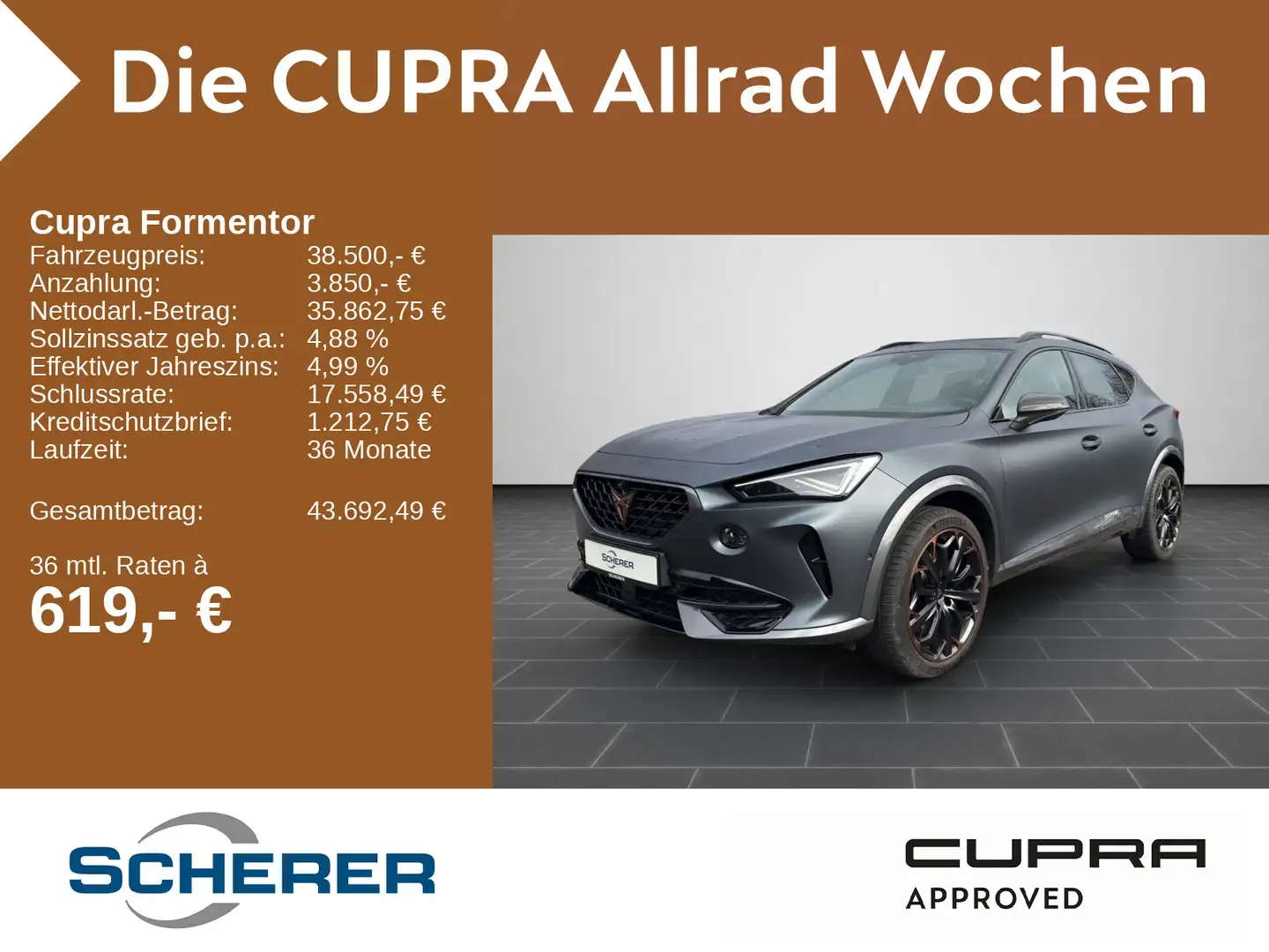 CUPRA Formentor VZ 2.0 TSI 4Drive MATRIX PANO AHK LEDE Grau - 1