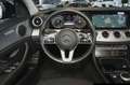 Mercedes-Benz E 300 E 300 de T-Mod 9G/AHK/Navi/LED/Kamera Schwarz - thumbnail 12