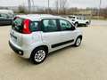 Fiat New Panda *km 49.000* *PROMO FINANZIAMENTO* Plateado - thumbnail 6