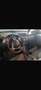 Suzuki Vitara 1,6 VVT 4WD GL Clear - thumbnail 1