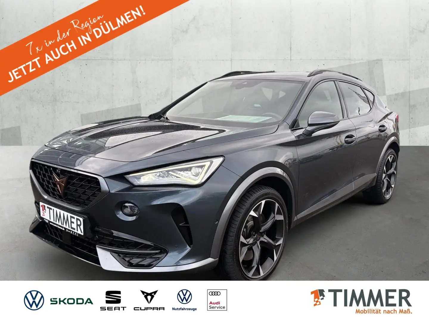 CUPRA Formentor 2.0 TSI VZ 4DRIVE +SCHALE +AHK +BEATS +360° +LED Grau - 1