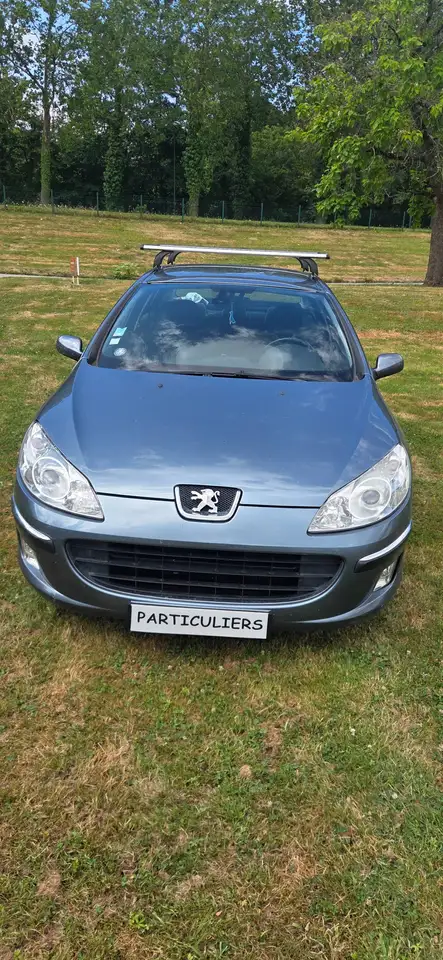 Peugeot 407 2.0 HDi 16v ExÃ©cutive Pack