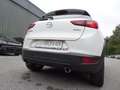 Mazda CX-3 CD105 Challenge Weiß - thumbnail 12