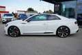 Audi RS5 2.9 TFSI quattro Weiß - thumbnail 11
