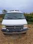 Dodge RAM Van Camper Explorer Xtra Van Weiß - thumbnail 2