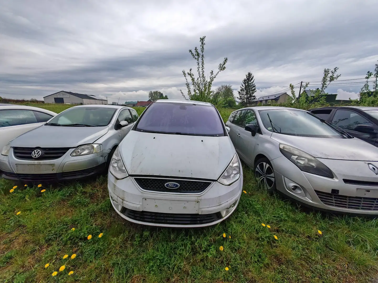 Ford Galaxy II 2.0 TDCI 136 FAP Trend Powershift A - 2