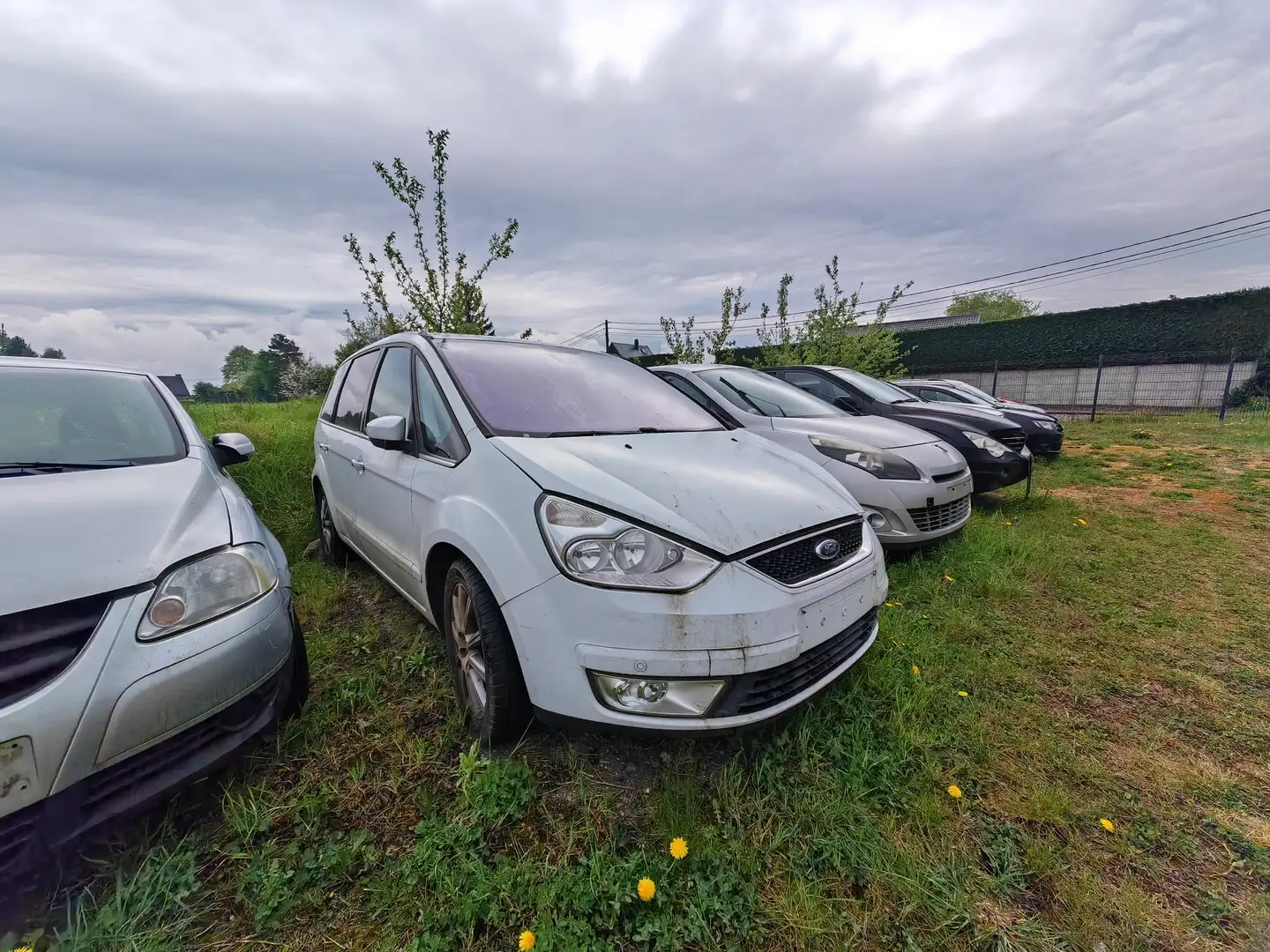 Ford Galaxy II 2.0 TDCI 136 FAP Trend Powershift A - 1