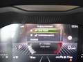 Skoda Kamiq Kamiq 1.0 TSI DSG black pack/nieuw!! Gris - thumbnail 24
