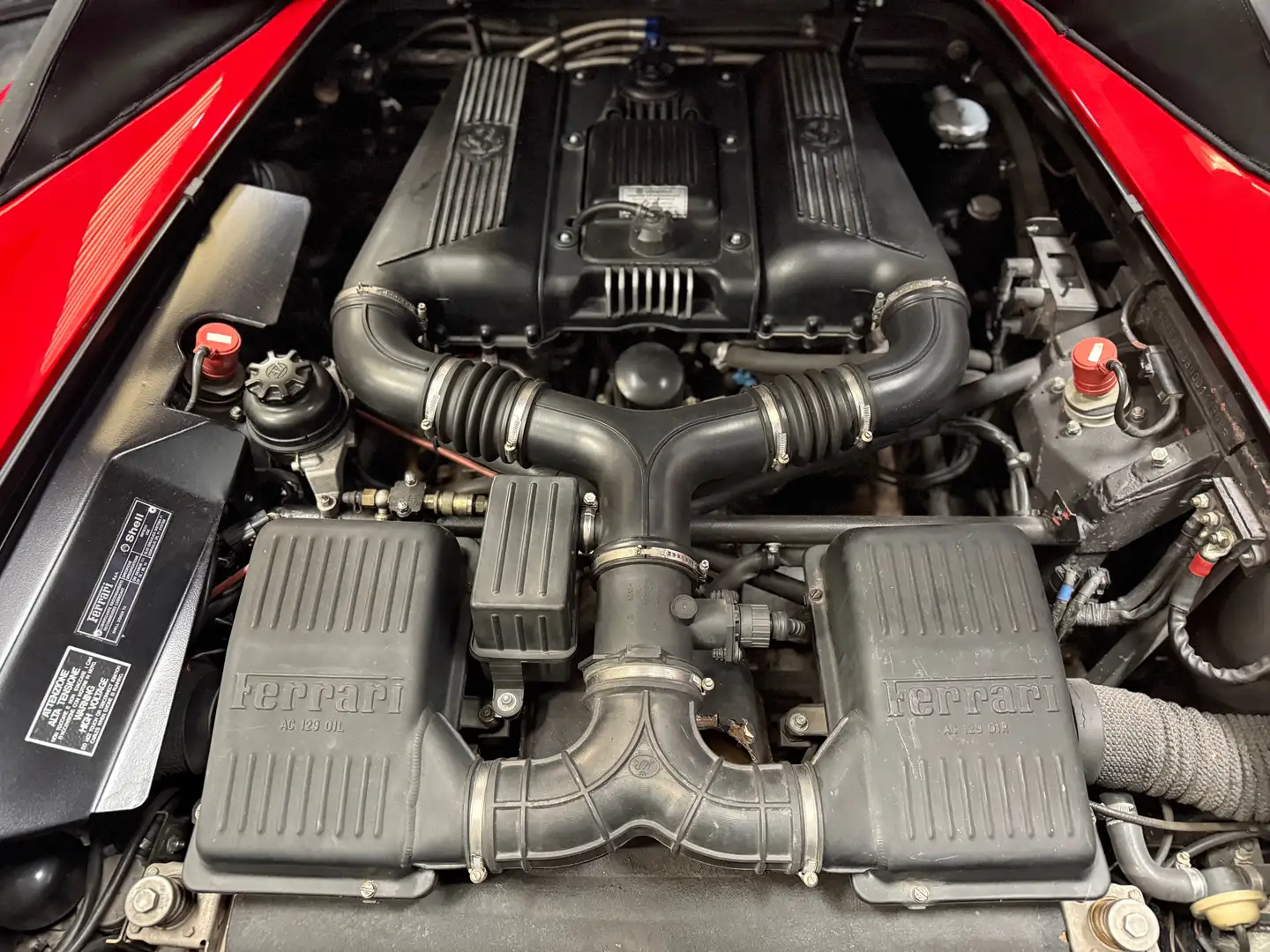 1999 Rosso Spider F1 — photo 3