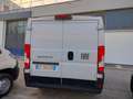 Fiat Ducato 33 2.2 Mjt 140CV L2 H1 Furgone MY25 Blanc - thumbnail 10