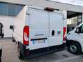Fiat Ducato 33 2.2 Mjt 140CV L2 H1 Furgone MY25 Blanc - thumbnail 11