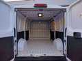 Fiat Ducato 33 2.2 Mjt 140CV L2 H1 Furgone MY25 Blanc - thumbnail 12