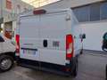 Fiat Ducato 33 2.2 Mjt 140CV L2 H1 Furgone MY25 Blanc - thumbnail 8